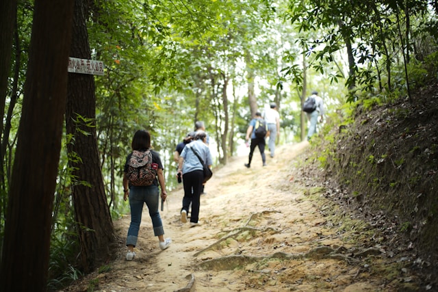 Kelkorentia vybavenie