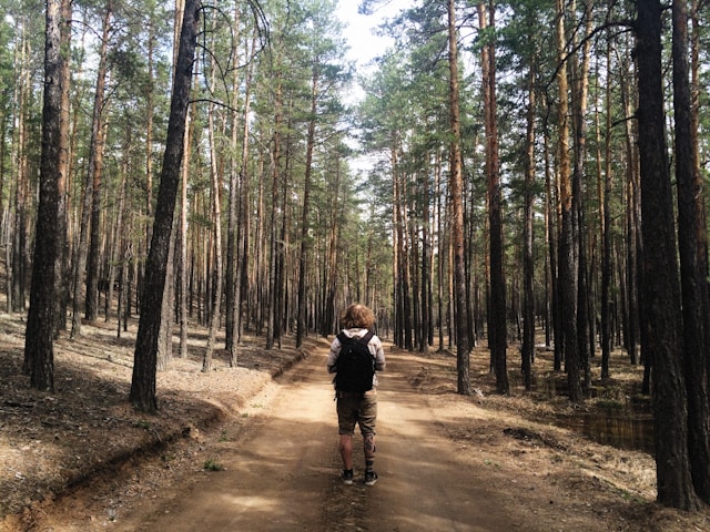 Kelkorentia príroda